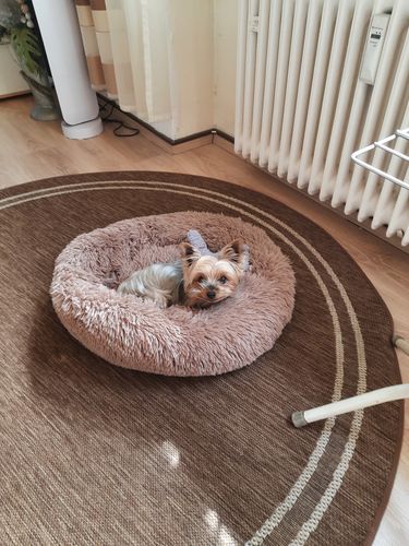 Customer photo review of Puppery Kuschelbett - Das Original
