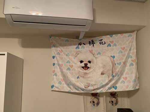 Customer photo review of 【客製】手繪寵物 法蘭絨毛毯