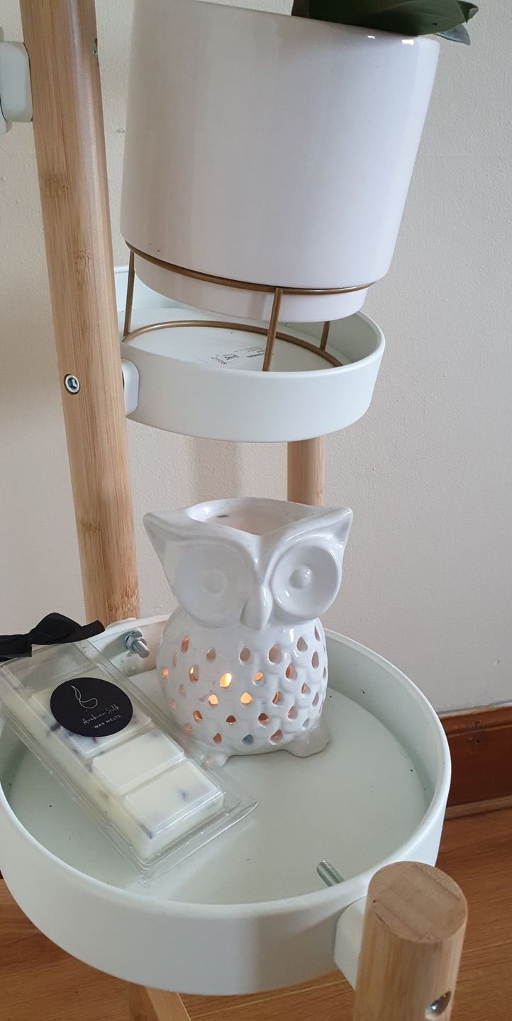 Customer photo review of Arabian Silk Wax Melts