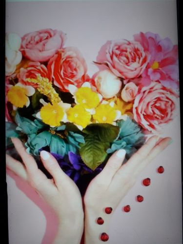 Customer photo review of La Feuille [1+1 GRATIS]