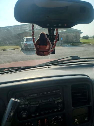 Customer photo review of One Custom Air Freshener