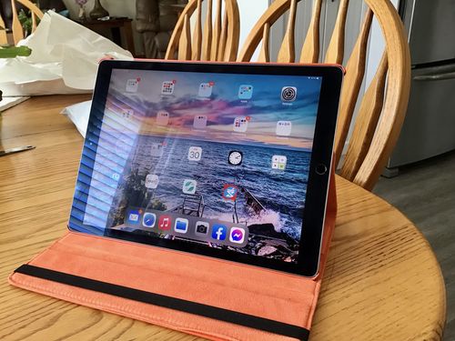 Customer photo review of Premium Leather iPad Case