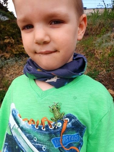 Customer photo review of Collier Pendentif Ou Broche "Grenouille verte"