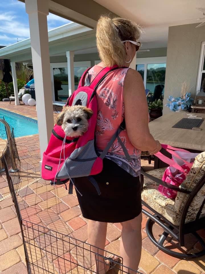 Customer photo review of Fur Sport™ - Pet Backpack Carrier
