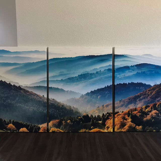 Customer photo review of Large Forest Mountain Landscape Wall Art Canvas Print
