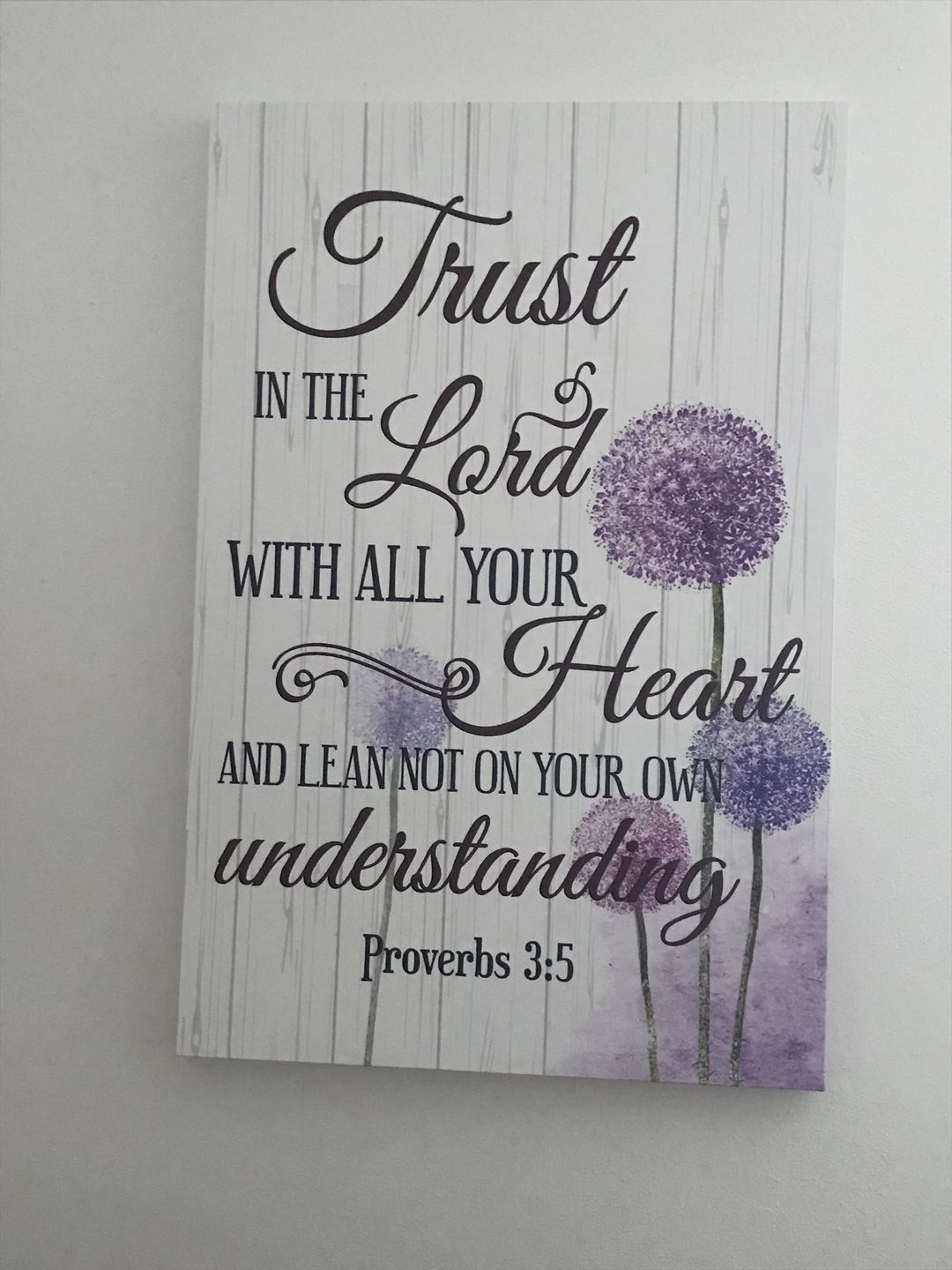 Customer photo review of Trust in the Lord With All Your Heart Proverbs 3:5, Dandelions Flowers, Wall Art Canvas