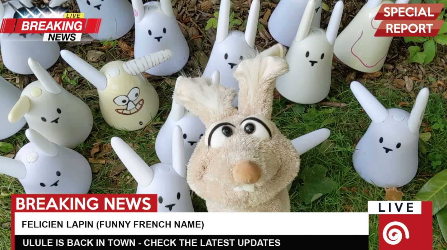 Customer photo review of Lapin Blanc Marionnette