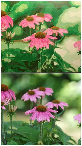 Customer photo review of PREMIUM QUALITY HAIR BRUSHES