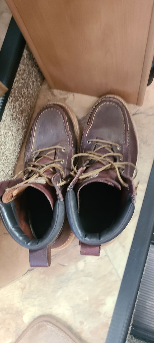 Customer photo review of Irish Setter by Red Wing Men's Ashby Soft Toe 6-inch Lace-Up Boots 83605