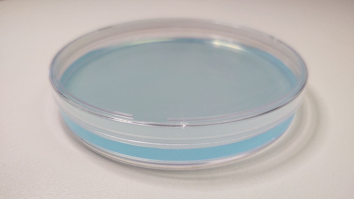 Customer photo review of Natural Agar Agar Powder