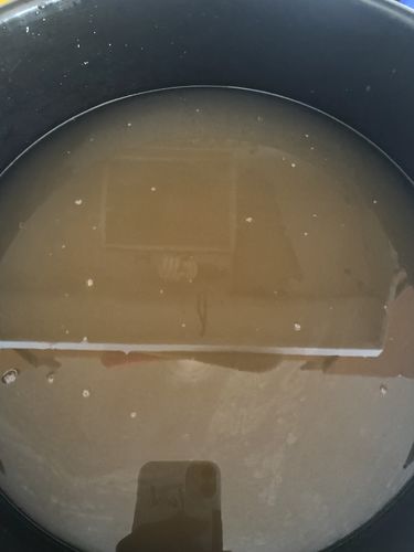 Customer photo review of Vegan Locs Detox Bar