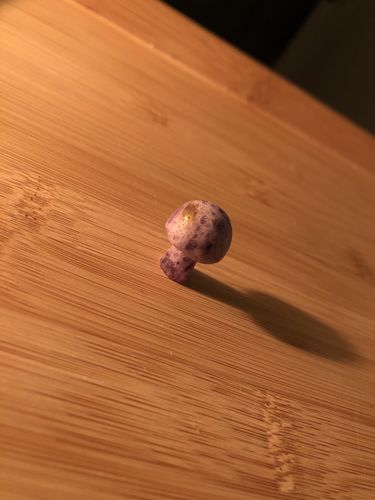 Customer photo review of Intuitively Selected Mini Mushroom