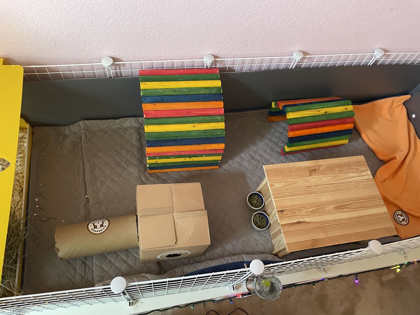 Customer photo review of GuineaDad Crunchy Condo - Pack of 3