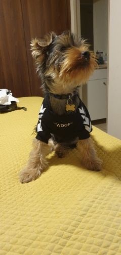 Customer photo review of Felpa "woof" Nera