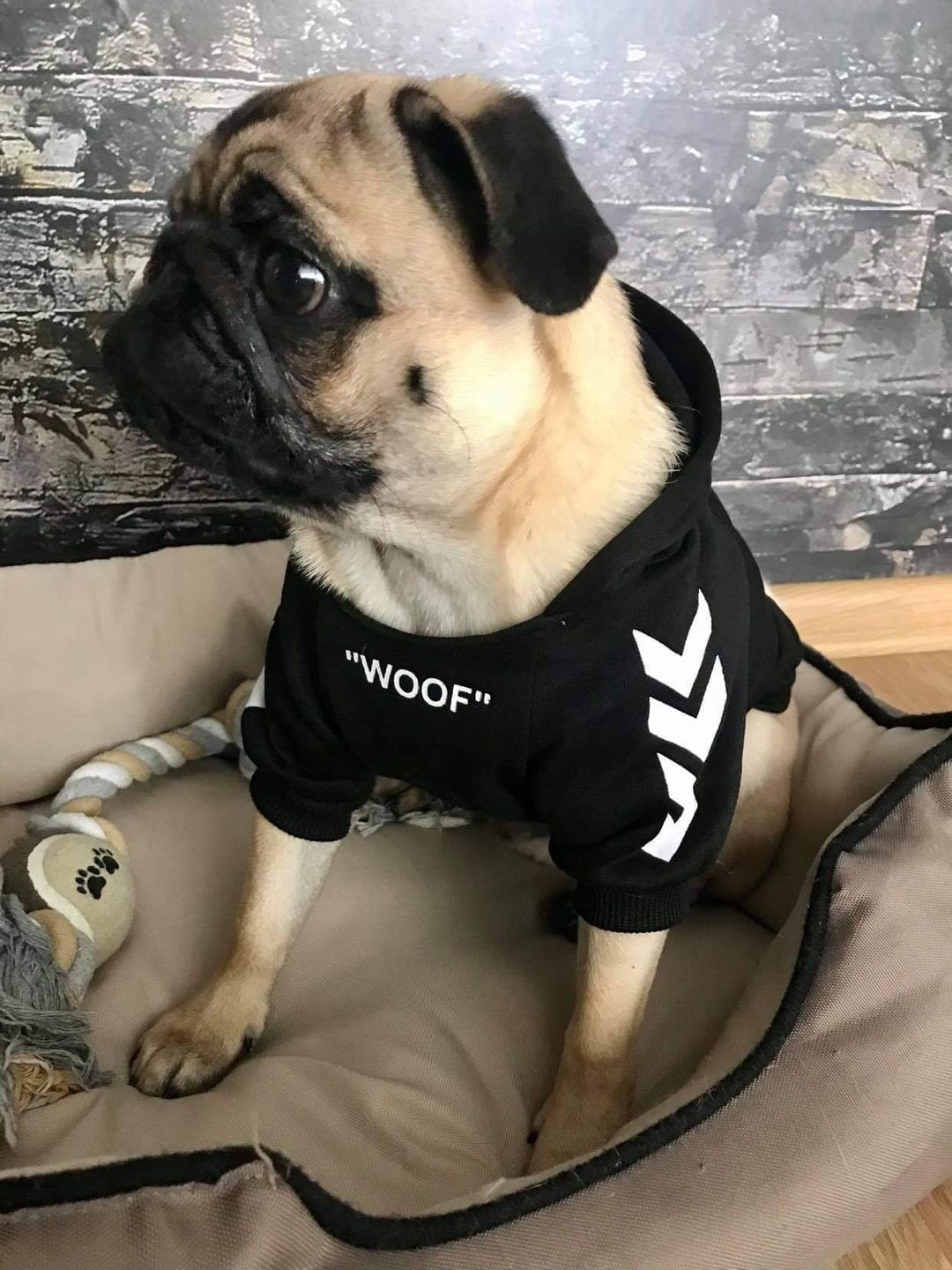 Customer photo review of Felpa "woof" Nera