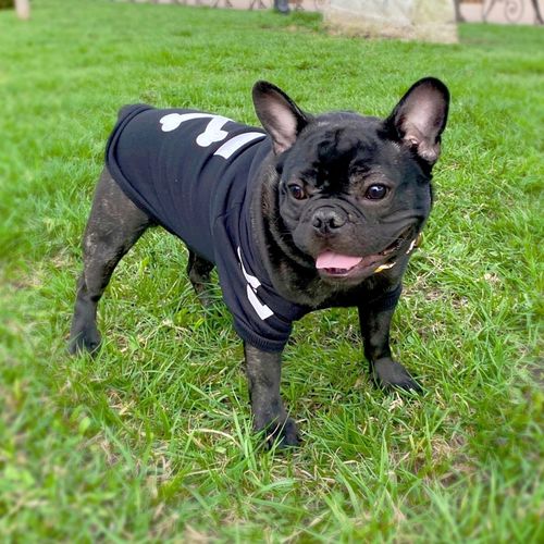 Customer photo review of Felpa "woof" Nera