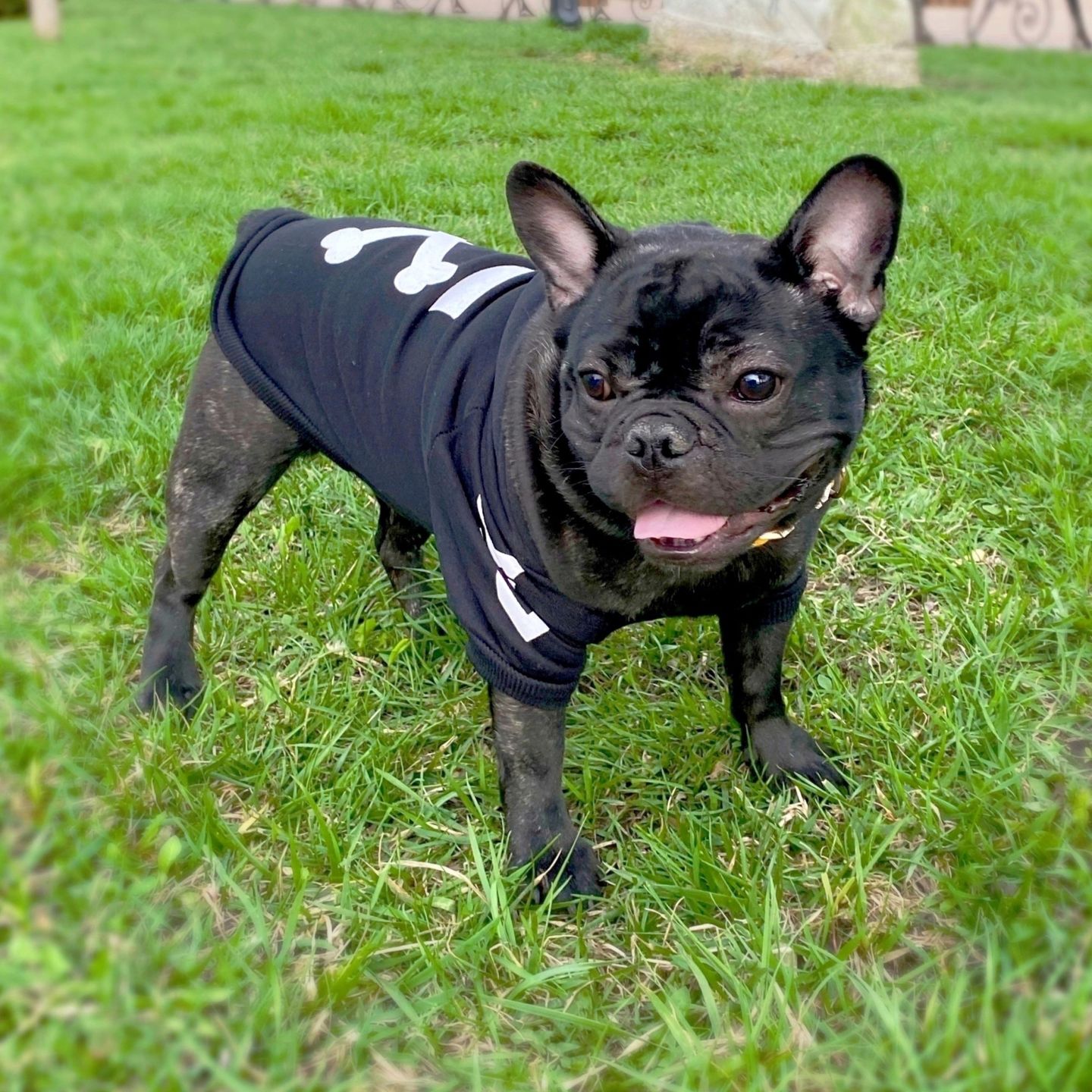 Customer photo review of Felpa "woof" Nera