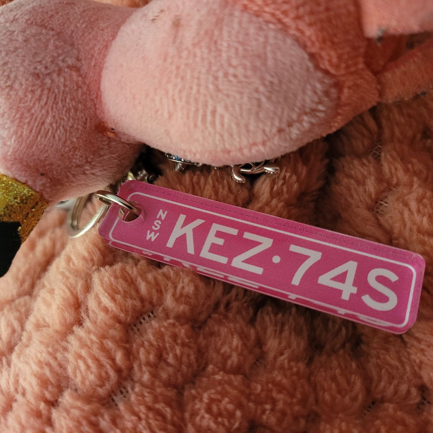 Customer photo review of NSW Colour Licence Plate Custom Keychain