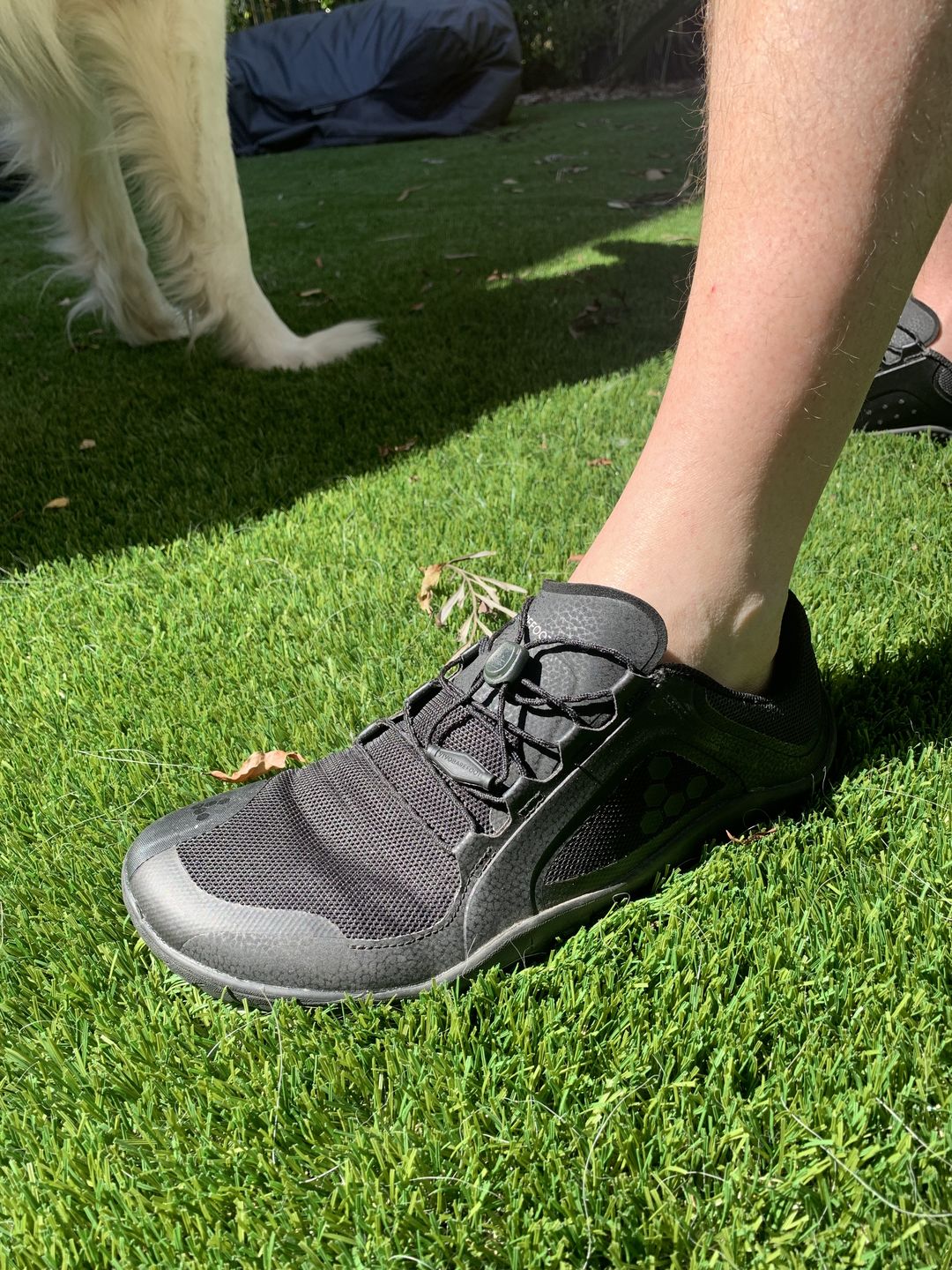 Customer photo review of Vivobarefoot Primus Trail II FG Obsidian Mens
