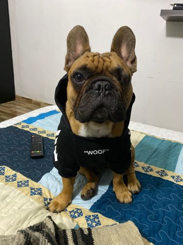 Customer photo review of Felpa "woof" Nera