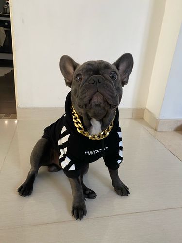 Customer photo review of Felpa "woof" Nera