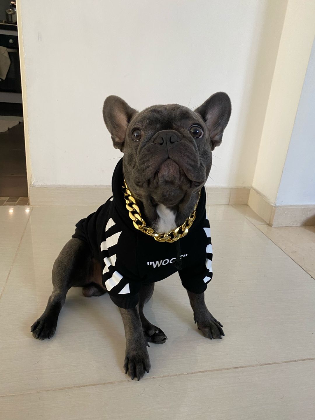 Customer photo review of Felpa "woof" Nera