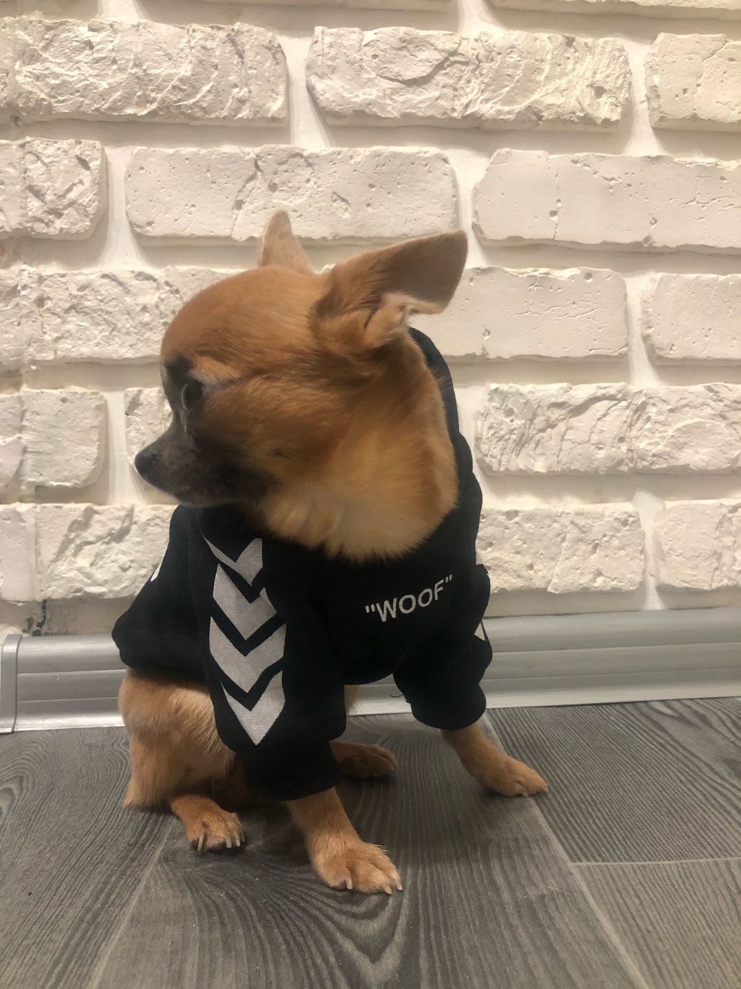 Customer photo review of Felpa "woof" Nera