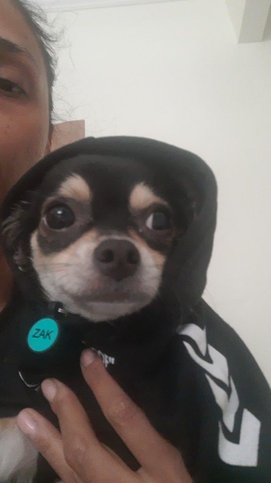 Customer photo review of Felpa "woof" Nera