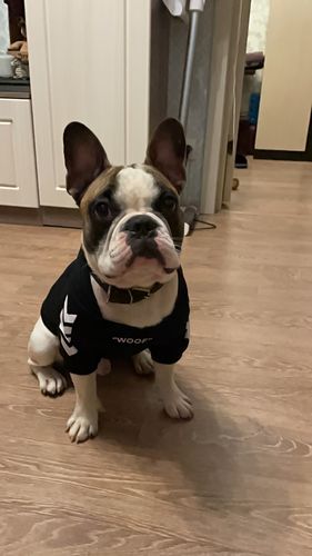 Customer photo review of Felpa "woof" Nera