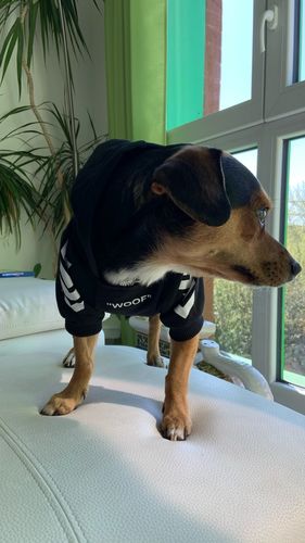 Customer photo review of Felpa "woof" Nera