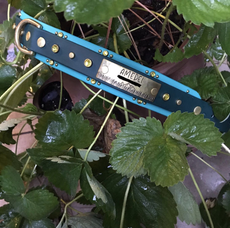 Customer photo review of Rivet-On Tag