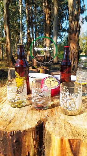 Customer photo review of Mini Flora y Fauna Juego de 4 Vasos