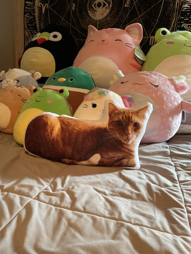 Customer photo review of Create A Custom Cat Pillow
