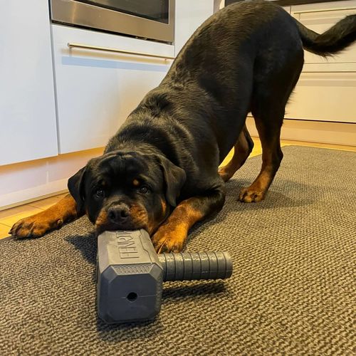 Customer photo review of The Fenrir Hammer