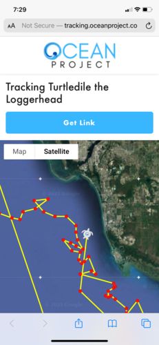 Ocean Project Reviews - 5,727 Reviews 