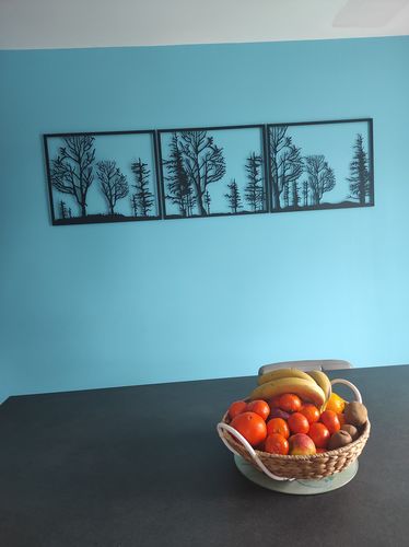 Customer photo review of Triptyque Forêt - 01