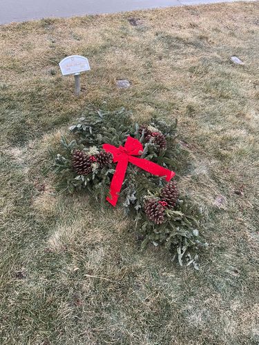 Customer photo review of Fresh Natural Christmas Grave Cross