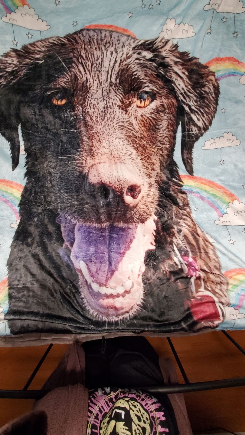 Customer photo review of Custom Pet Art Fleece Blanket