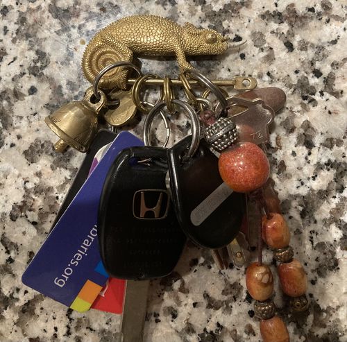 Customer photo review of Chameleon keychain | Brass & 925 sterling silver