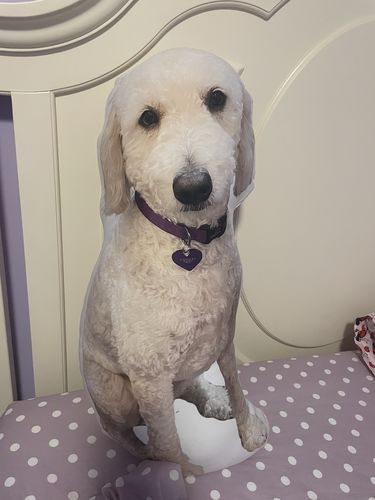 Customer photo review of Create A Custom Dog Pillow