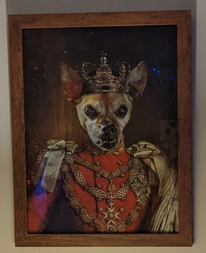 Customer photo review of The Prince - Custom Vintage Pet Portrait