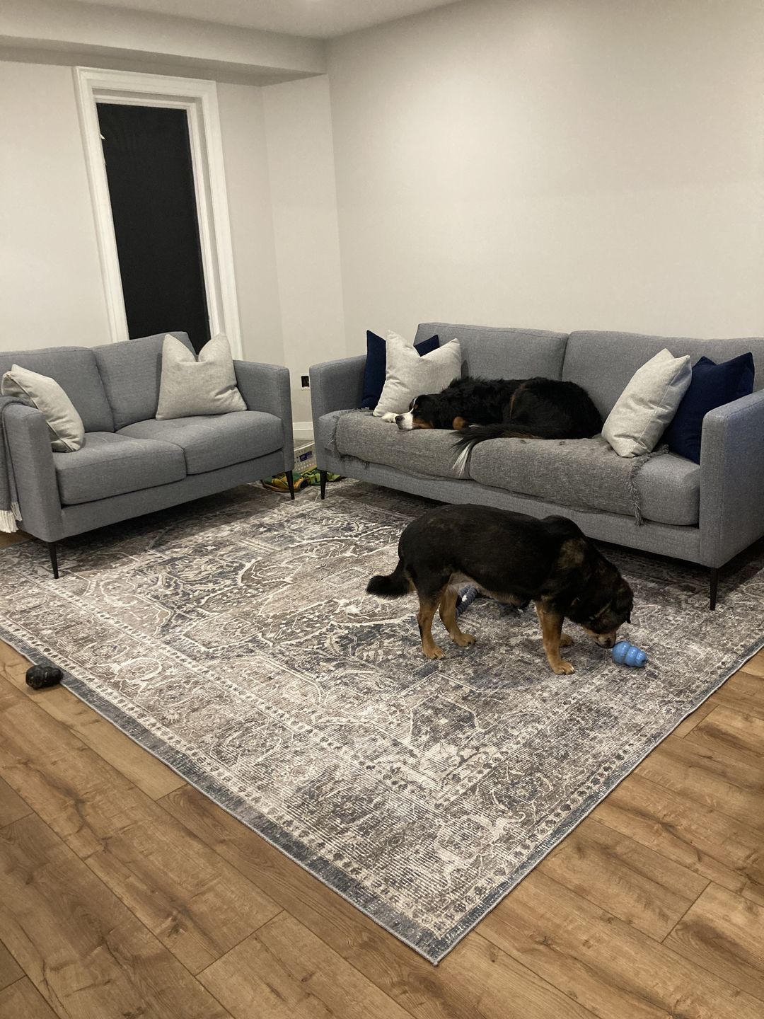 Customer photo review of Distressed Vintage Kendra Ash Area Rug
