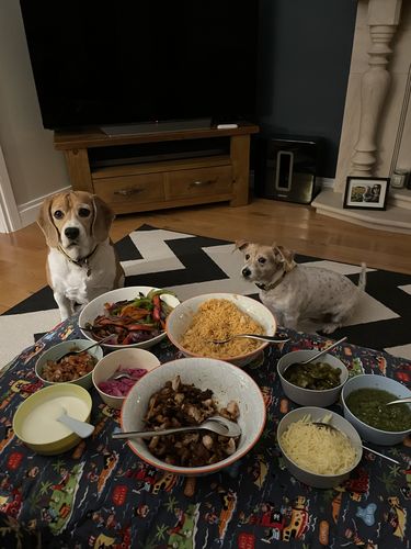 Customer photo review of Boojum Chicken Fajita Meal Kit For 4 People