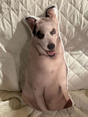 Customer photo review of Create A Custom Dog Pillow