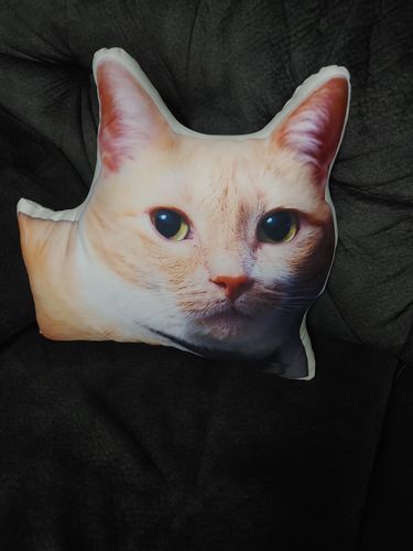 Customer photo review of Create A Custom Cat Pillow