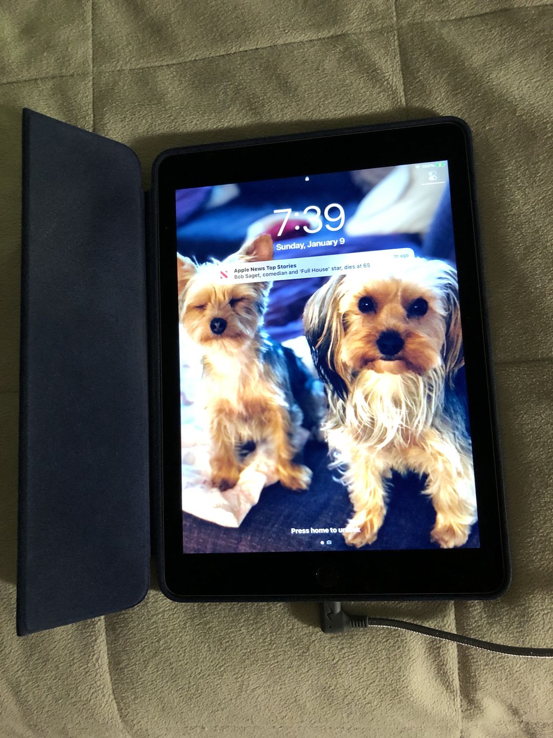 Customer photo review of Piston Connect XL 90