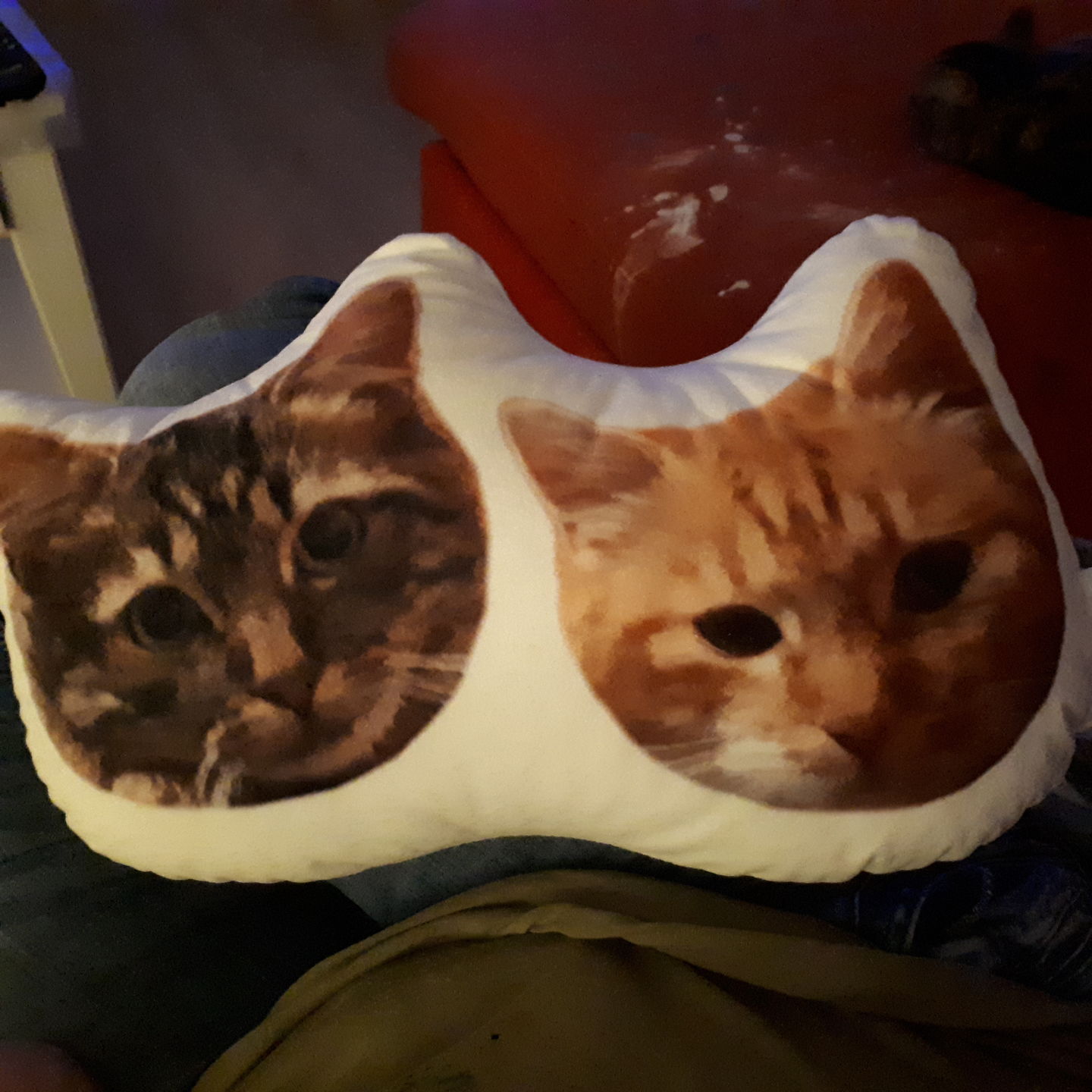 Customer photo review of Personalisiertes Tiergesichterkissen