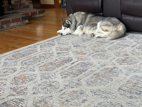 Customer photo review of Chantilly Lace Multi Rug