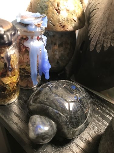 Customer photo review of Flashy Labradorite Turtle