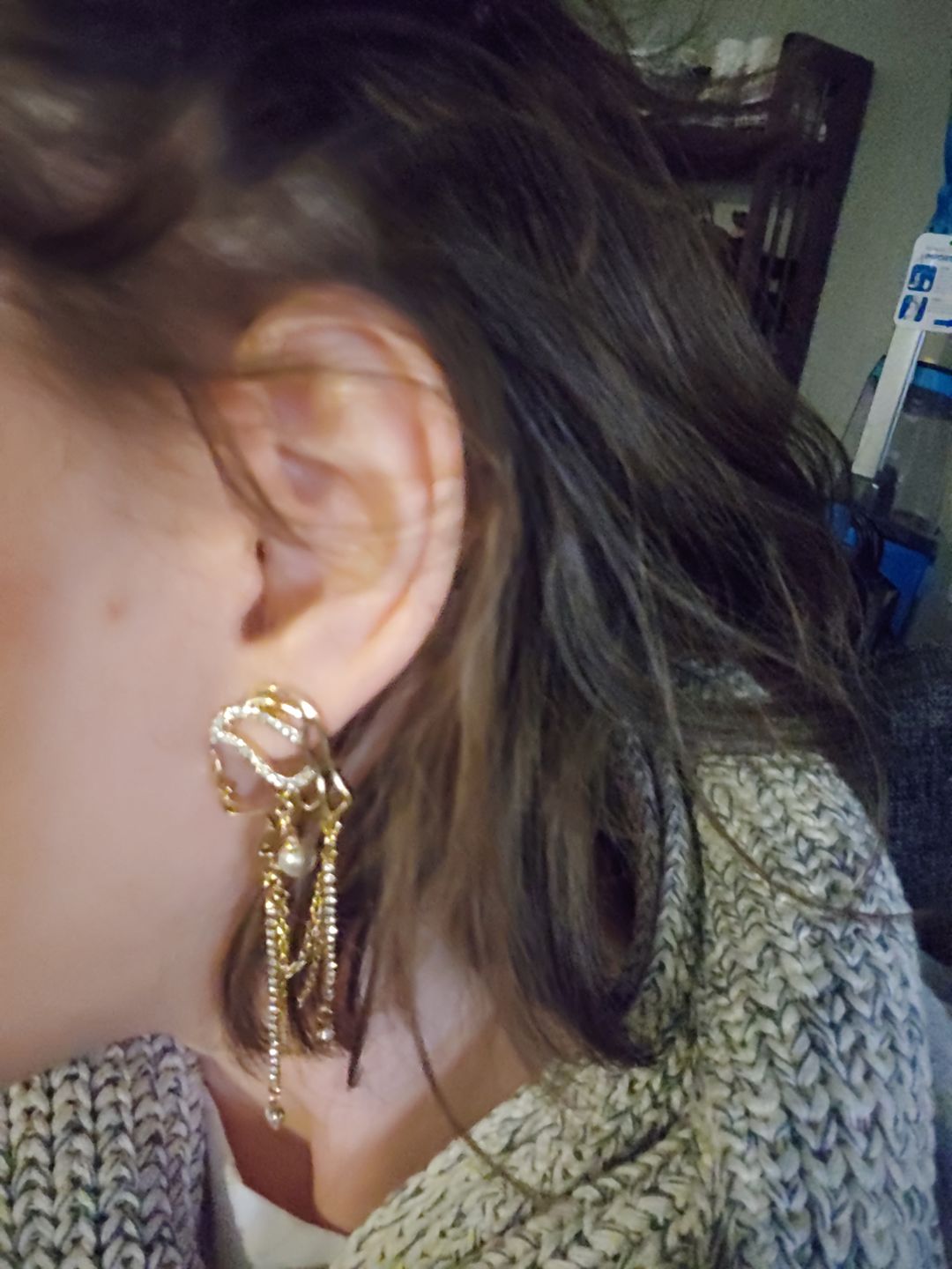 Customer photo review of Girl with a Pearl Earrings